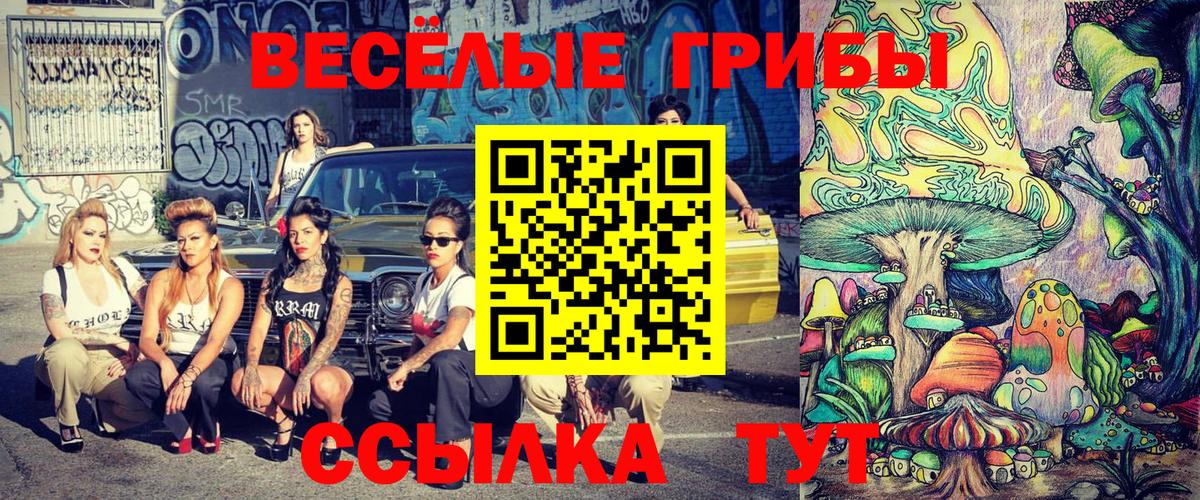 Костомукша  Псилоцибиновые грибы прущие грибы  Вход с VPN 