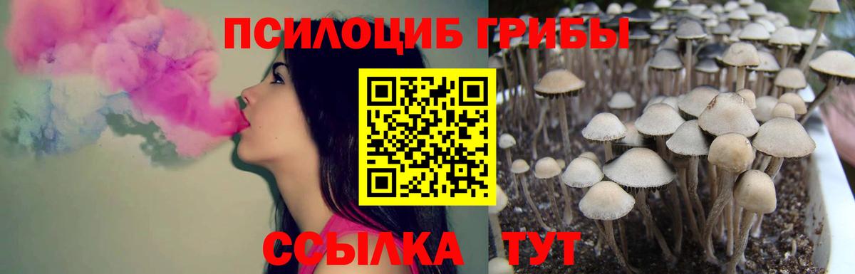 Галлюциногенные грибы GOLDEN TEACHER Костомукша